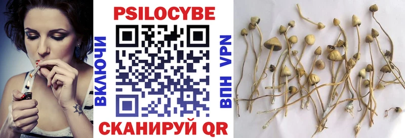 MEGA как войти  Ковылкино  Псилоцибиновые грибы Magic Shrooms  закладки 